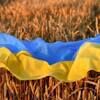 iryna_moroz